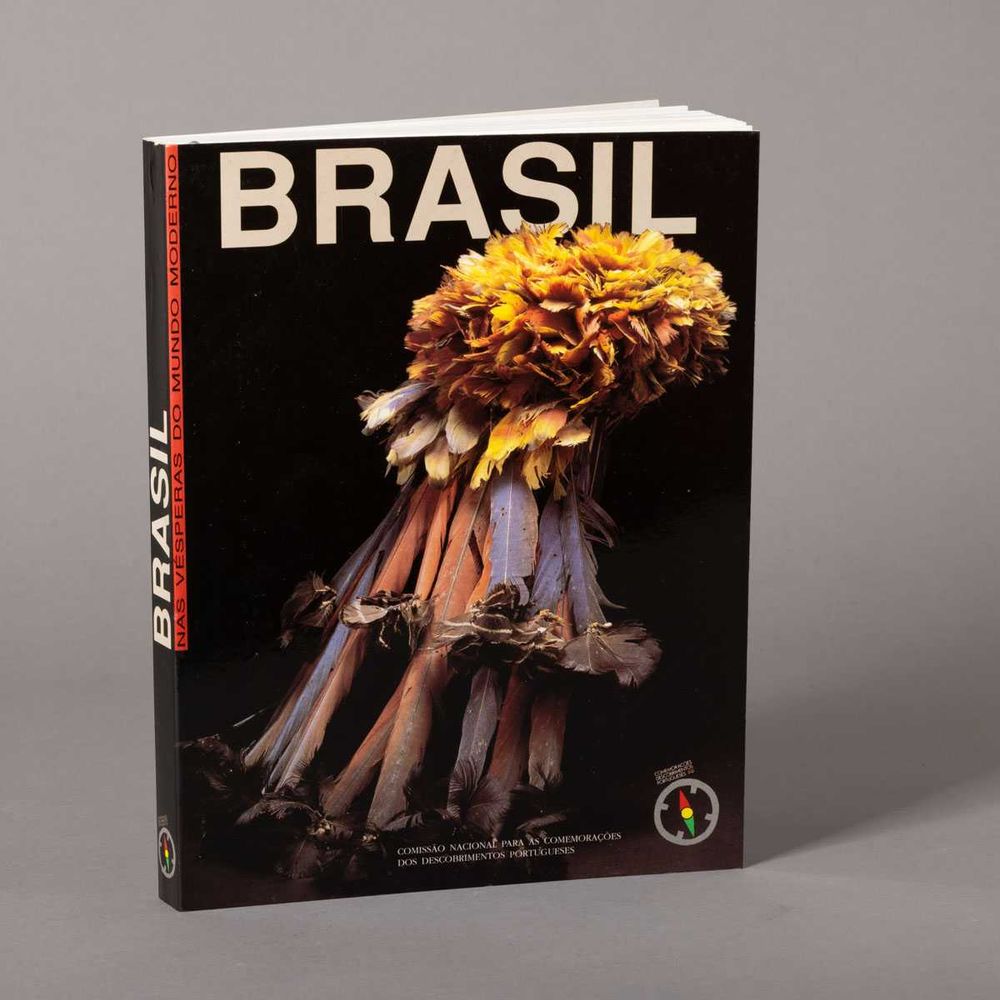 Imagem 1